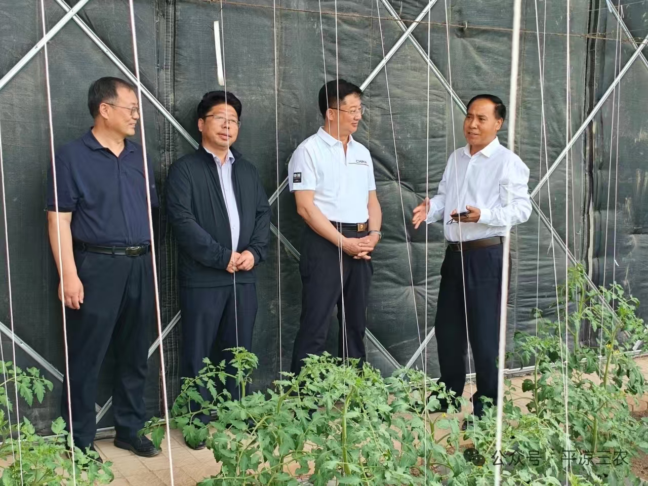 天津市农业农村委来我市调研东西部协作工作